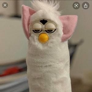 Meet your Posher, Sean